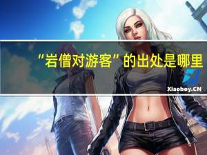 “岩僧对游客”的出处是哪里