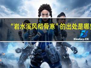 “岩水溪风彻骨寒”的出处是哪里