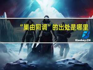 “巢由同调”的出处是哪里
