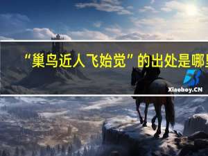 “巢鸟近人飞始觉”的出处是哪里