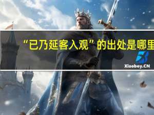 “已乃延客入观”的出处是哪里