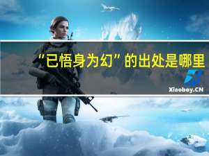 “已悟身为幻”的出处是哪里