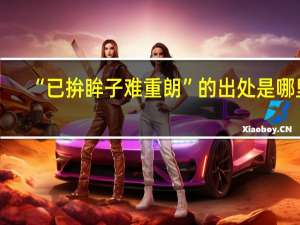 “已拚眸子难重朗”的出处是哪里