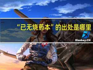 “已无烧药本”的出处是哪里