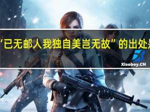 “已无邮人我独自美岂无故”的出处是哪里