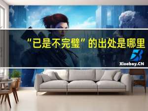 “已是不完璧”的出处是哪里