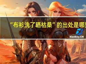 “布衫洗了晒枯桑”的出处是哪里