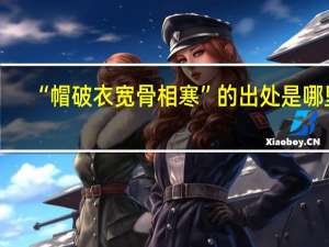 “帽破衣宽骨相寒”的出处是哪里