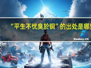 “平生不忧臭於铜”的出处是哪里