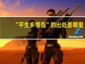 “平生多恨哉”的出处是哪里