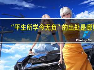 “平生所学今无负”的出处是哪里