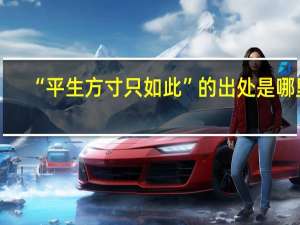 “平生方寸只如此”的出处是哪里