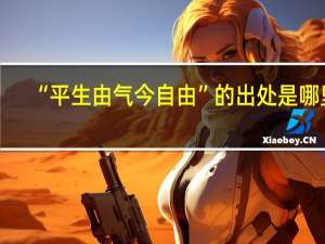 “平生由气今自由”的出处是哪里
