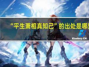 “平生萧相真知己”的出处是哪里
