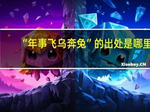 “年事飞乌奔兔”的出处是哪里