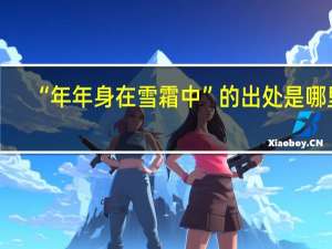 “年年身在雪霜中”的出处是哪里