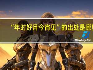 “年时好月今宵见”的出处是哪里