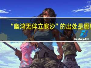 “幽鸿无伴立寒沙”的出处是哪里