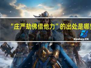 “庄严劫佛借他力”的出处是哪里