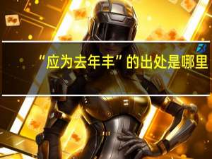 “应为去年丰”的出处是哪里