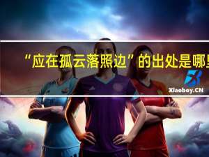 “应在孤云落照边”的出处是哪里