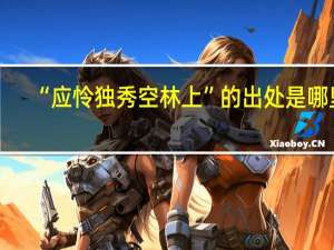 “应怜独秀空林上”的出处是哪里