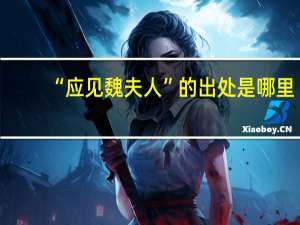 “应见魏夫人”的出处是哪里