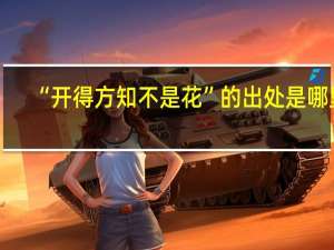 “开得方知不是花”的出处是哪里