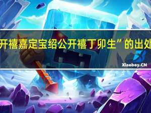 “开禧嘉定宝绍公开禧丁卯生”的出处是哪里