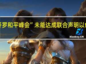 “开罗和平峰会”未能达成联合声明 以色列发声