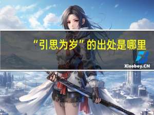 “引思为岁”的出处是哪里