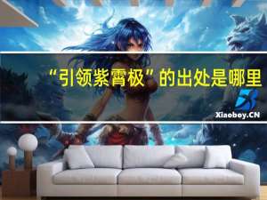 “引领紫霄极”的出处是哪里