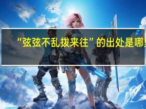 “弦弦不乱拨来往”的出处是哪里