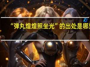 “弹丸煌煌照坐光”的出处是哪里