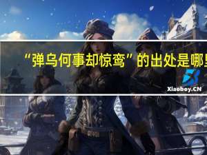 “弹乌何事却惊鸾”的出处是哪里