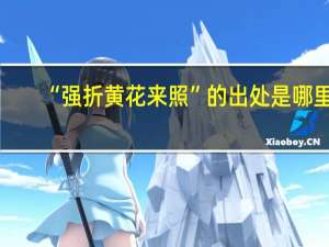 “强折黄花来照”的出处是哪里
