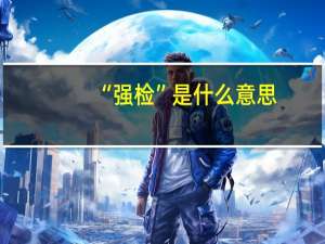 “强检”是什么意思