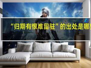“归期有恨难留驻”的出处是哪里