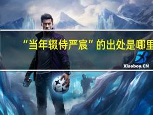 “当年辍侍严宸”的出处是哪里