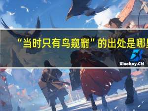 “当时只有鸟窥窬”的出处是哪里