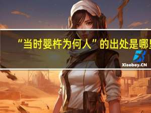 “当时婴杵为何人”的出处是哪里