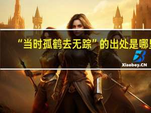 “当时孤鹤去无踪”的出处是哪里
