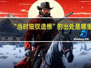 “当时钿钗遗恨”的出处是哪里