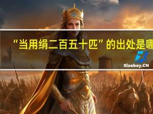 “当用绢二百五十匹”的出处是哪里