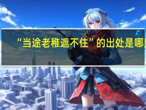 “当途老稚遮不住”的出处是哪里