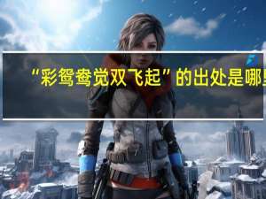 “彩鸳鸯觉双飞起”的出处是哪里