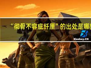 “彻骨不容疵纤厘”的出处是哪里