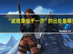 “彼细莫细于一芥”的出处是哪里