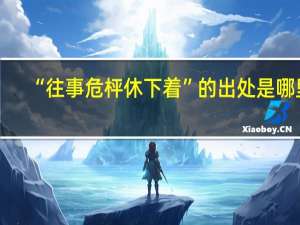 “往事危枰休下着”的出处是哪里