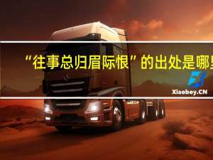 “往事总归眉际恨”的出处是哪里